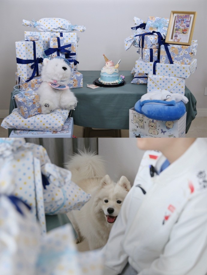 AL分享Kael五周年礼物开箱返图:大家为什莫给我这么多这个狗呀?